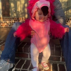 Pottery barn flamingo costume